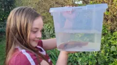 Evie sostiene al ajolote en un recipiente lleno de agua