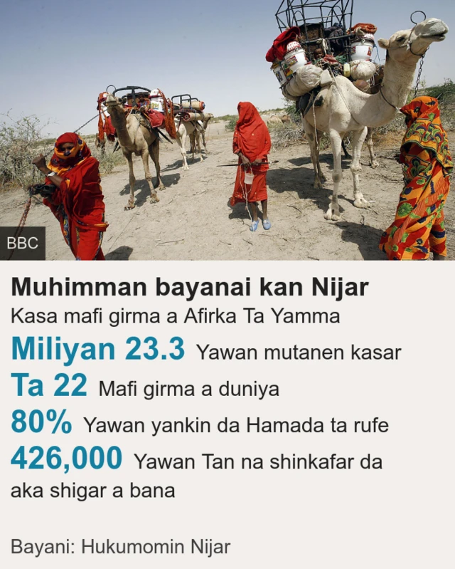 Bayanai kan Nijar