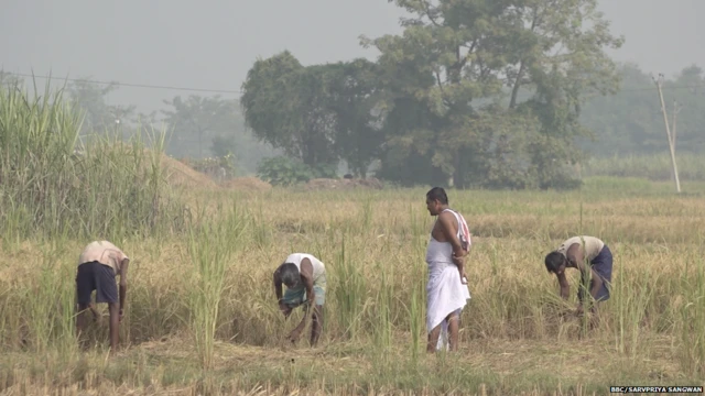 बिहार किसान