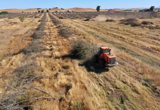 Un campo seco producto de la falta de lluvias
