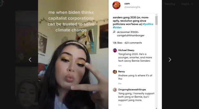 Пост на тему OK Boomer в TikTok
