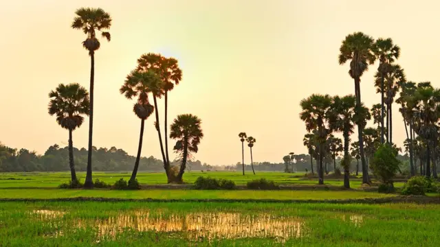 kamboja, tenun, sejarah, khmer merah, tenun emas, sutra emas
