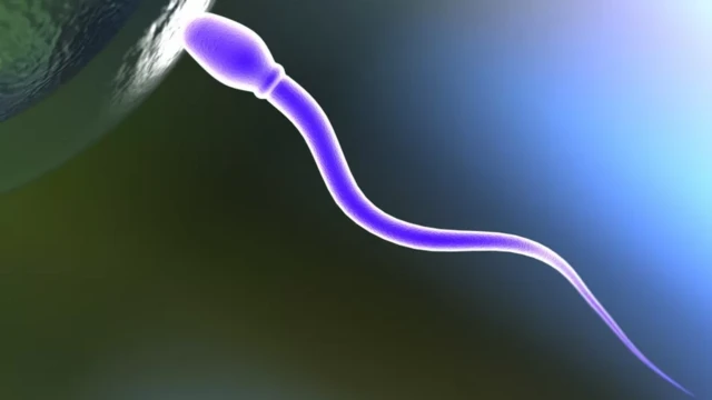 سپرم 
