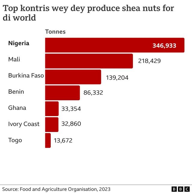 Graphics of top kontris wey dey produce shea nuts for di world