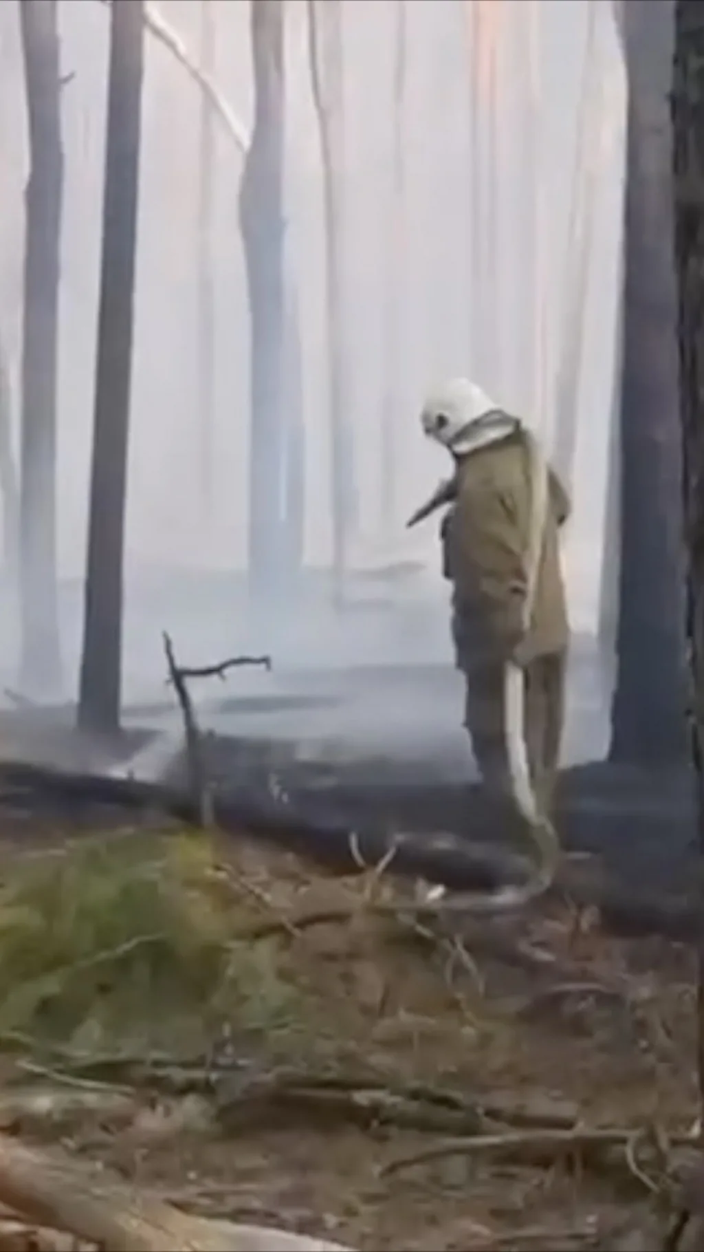 Пожежа у Чорнобилі