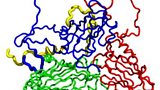 Foot and Mouth Vaccine