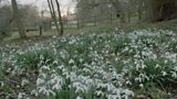 Welford Park