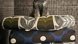 Orla Kiely
