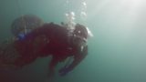 Scallop Diving