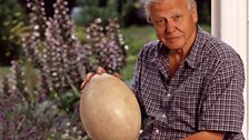 David Attenborough and the giant egg, 2002