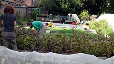Growing Communities UK - Finalists in the Big Food Idea category of the BBC Food and Farming Awards 2012