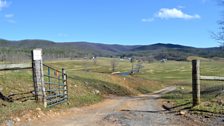 Country gate