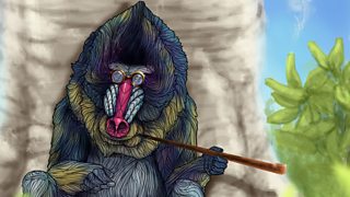 Natural Histories Comedy