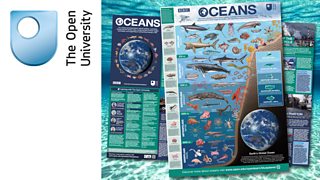 Download an Oceans poster and discover more about life in the oceans