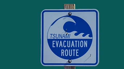 CrowdScience, CrowdScience, Do tsunamis affect marine life?
