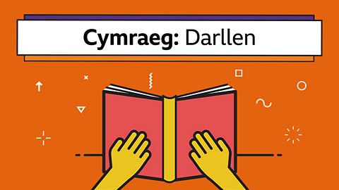 Dyddiadur cymeriad - Chwedl Santes Dwynwen