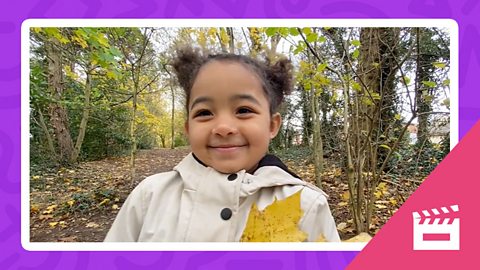 WATCH: Where do you like exploring?
