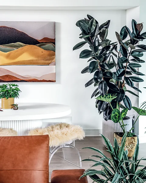 Hilton Carter/ CICO Books A large, eye-catching plant can help provide a room with a strong focal point (Credit: Hilton Carter/ CICO Books)