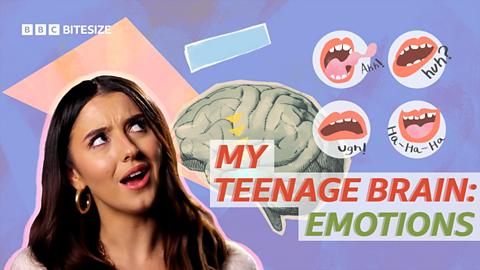 The teenage brain: How you and your child can understand the changes they're going through