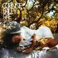rsz_corinne_bailey_rae.jpg