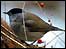 Blackcap