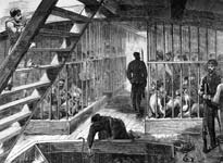 Caged prisoners on a ship bound for Australia (Getty Images/Hulton Archive)