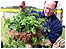 Hanging Basket
