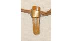 Beaver tooth pendant