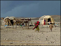 سوئی