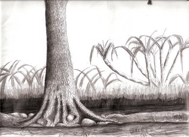 A far place