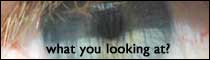 Part of an eye - Check out our webcams