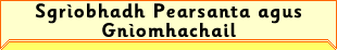 Sgrìobhadh Pearsanta agus Gnìomhachail