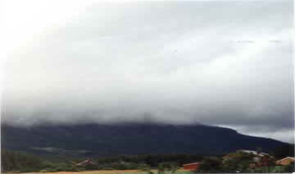 Stratus cloud