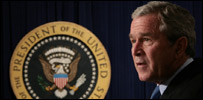 bush203b.jpg