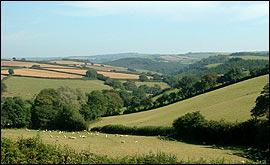 The Devon landscape