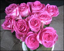 10_roses_100things.jpg