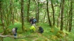 site of an iron age roundhouse