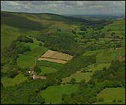 Countryside around Lustleigh
