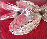 Silver ormers