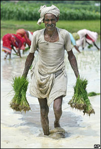 किसान