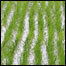 खेत