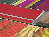 colours_ap203_154.jpg