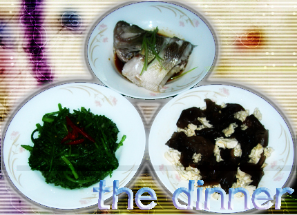 my lunch