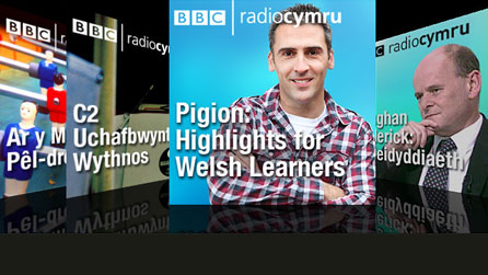 Dafydd Du