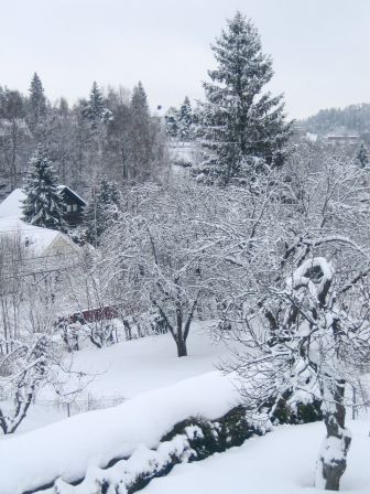 spring4.jpg