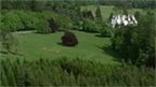 Aerial view of forestry around Blair Castle.