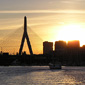 The Boston skyline