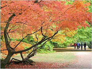 Westonbirt