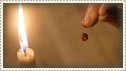 Waxed holly berry held by a candle