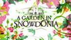 Garden in Snowdonia